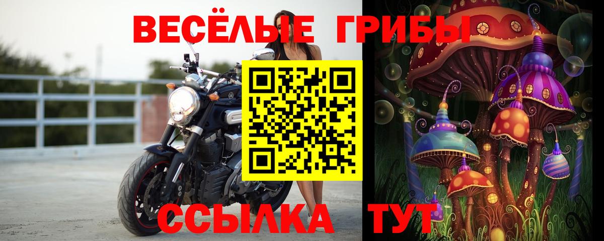 Рославль  Псилоцибиновые грибы MAGIC MUSHROOMS  Вход с VPN 